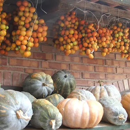 Farm stay I Moresani *