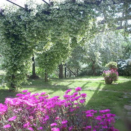 I Moresani