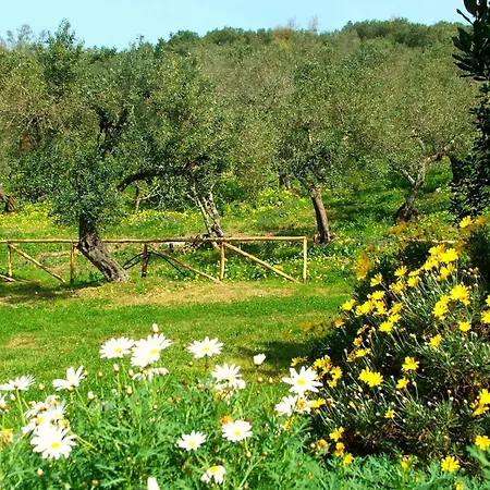 Farm stay I Moresani