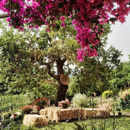 I Moresani Farm stay Casal Velino