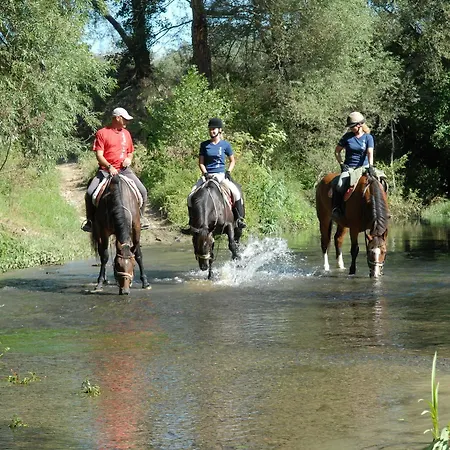 I Moresani Farm stay Casal Velino